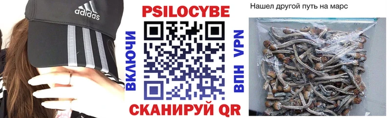 Псилоцибиновые грибы Psilocybine cubensis  Ахтырский 